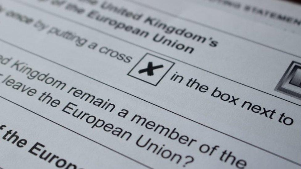 EU referendum ballot paper