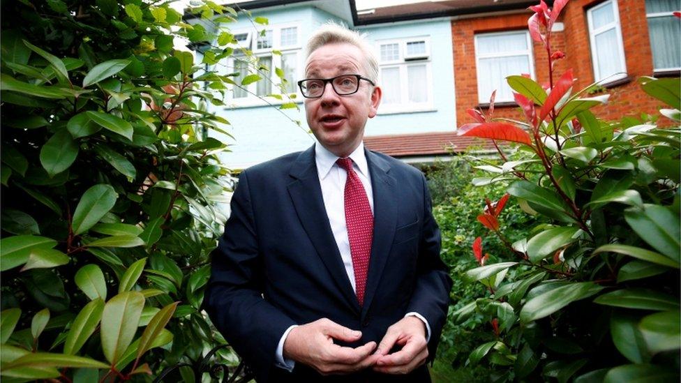 Michael Gove returns home