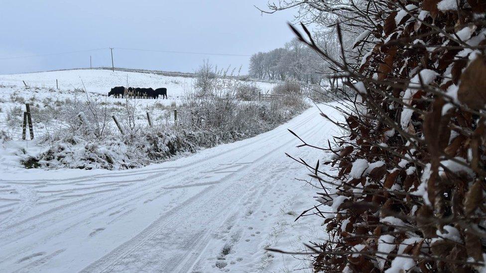 Snow in Kilbarchan