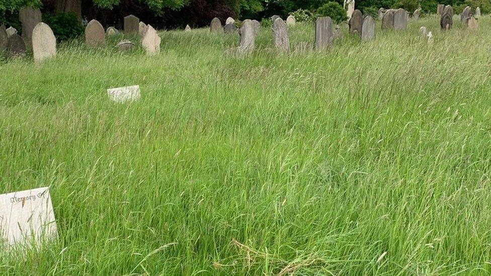 Long grass in the cemetery