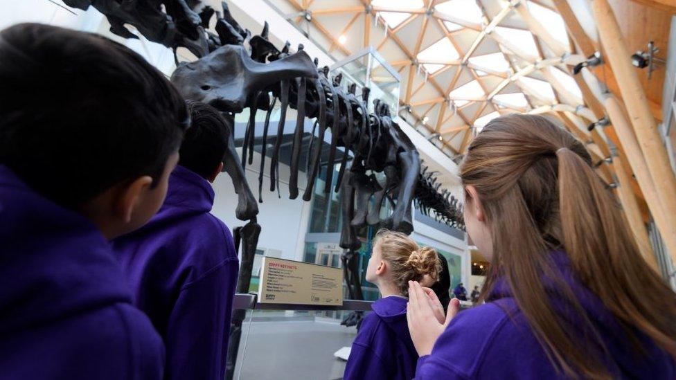 Children looking at the exhibit