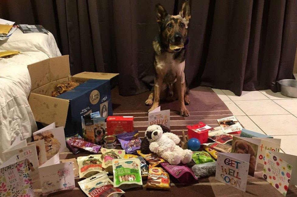 Finn the police dog with gifts