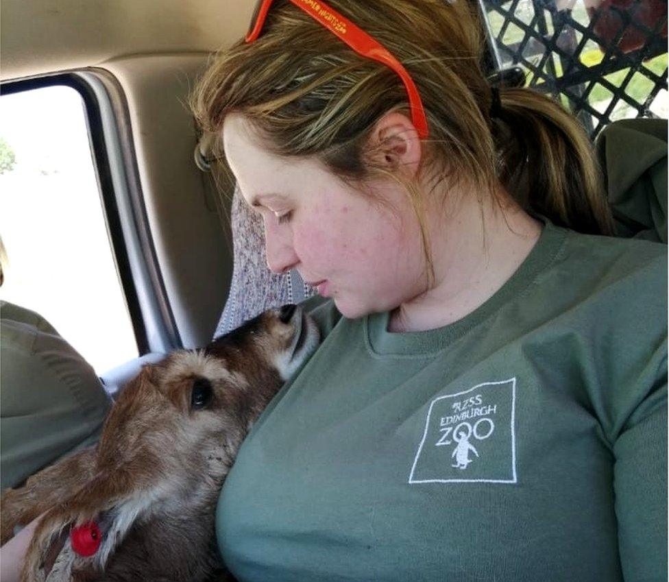 Phoebe looks after one of her animals