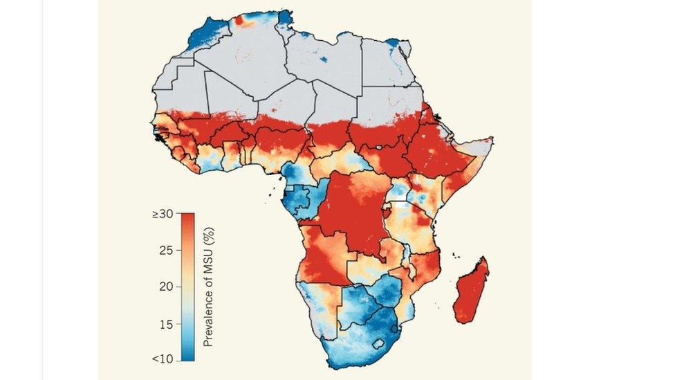 One heat map from the study shows the percentage of children classed as moderately or severely underweight (MSU) in each pixel in 2000