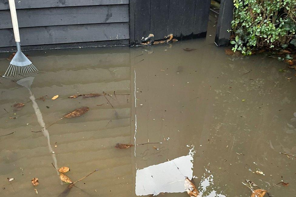 Flooded garden