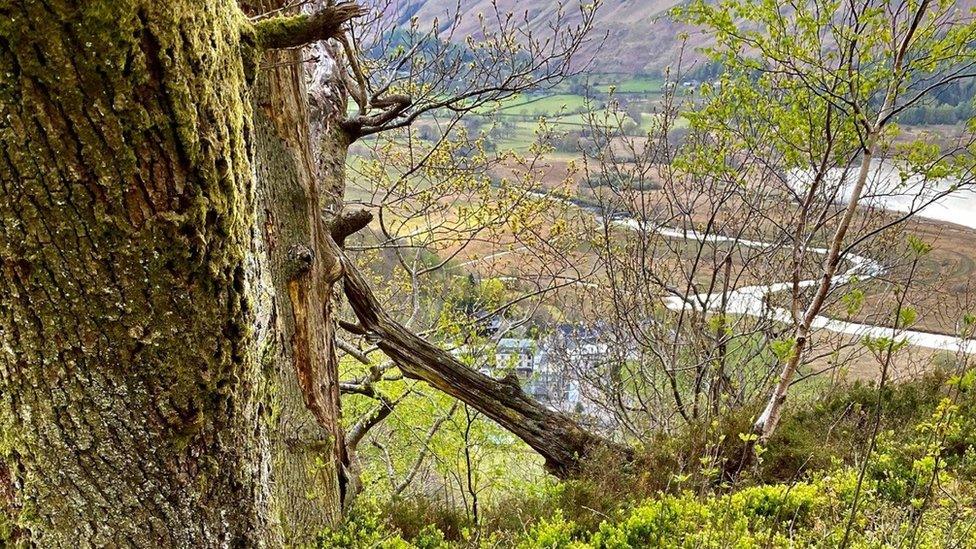 Surprise View, Derwentwater