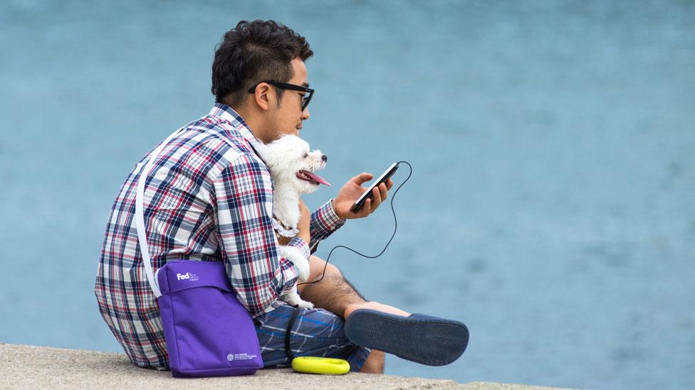 Man with dog, Pusan seafront