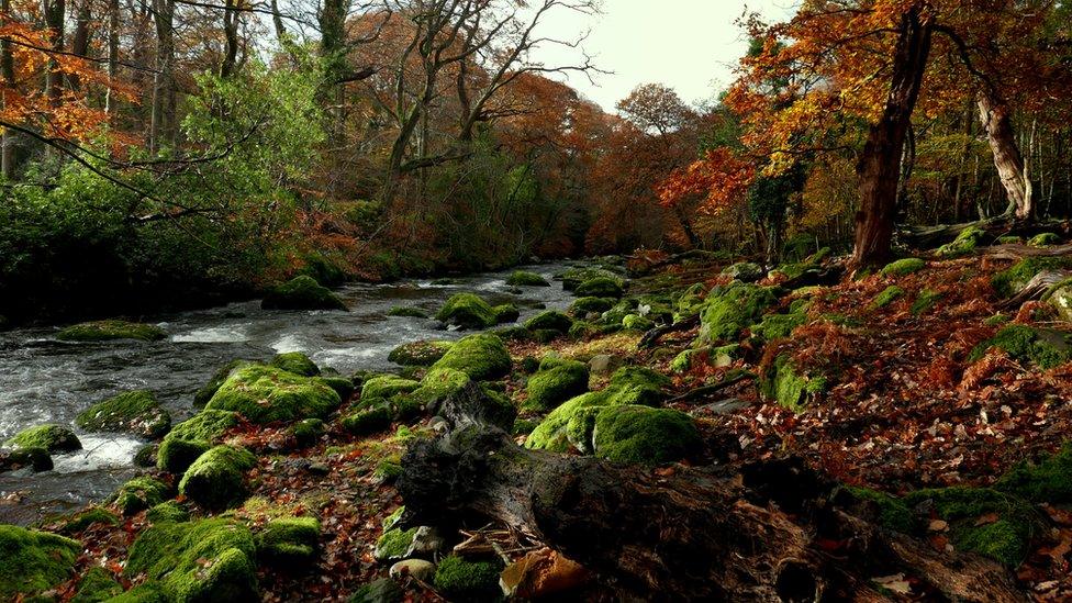 The River Ogwen