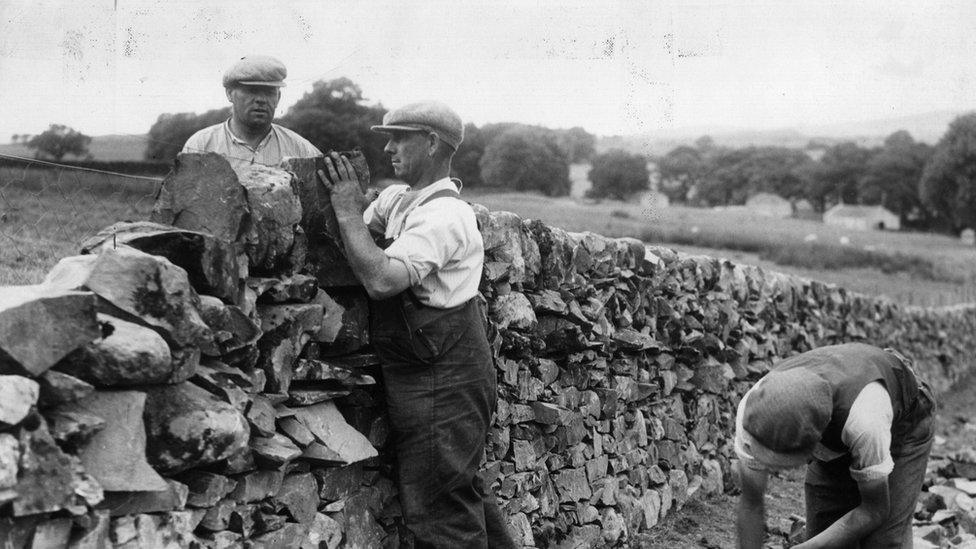 An image from 1936 shows men building a dry stone wall