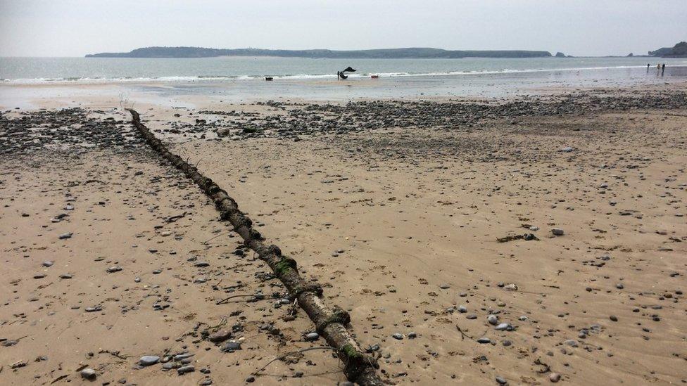 Tenby south beach