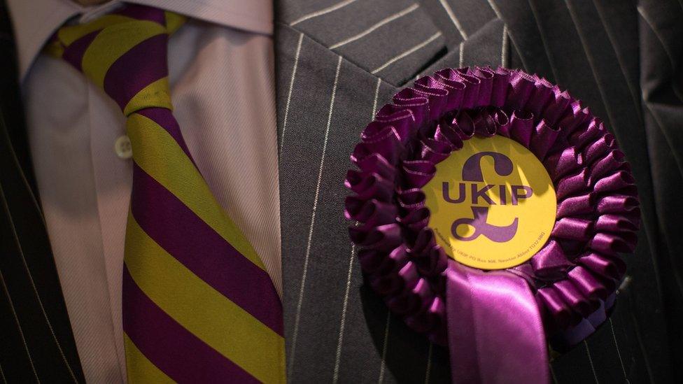 UKIP rosette