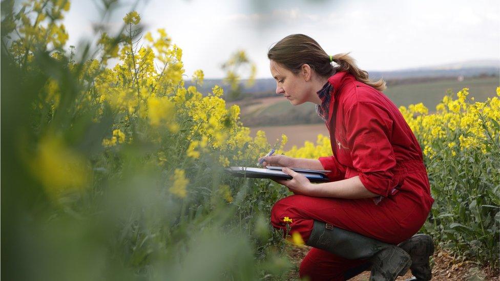 Stock image of an agriculture student