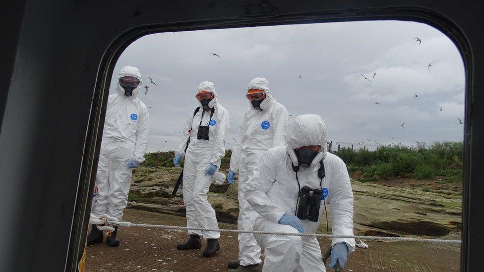 RSPB staff in full PPE