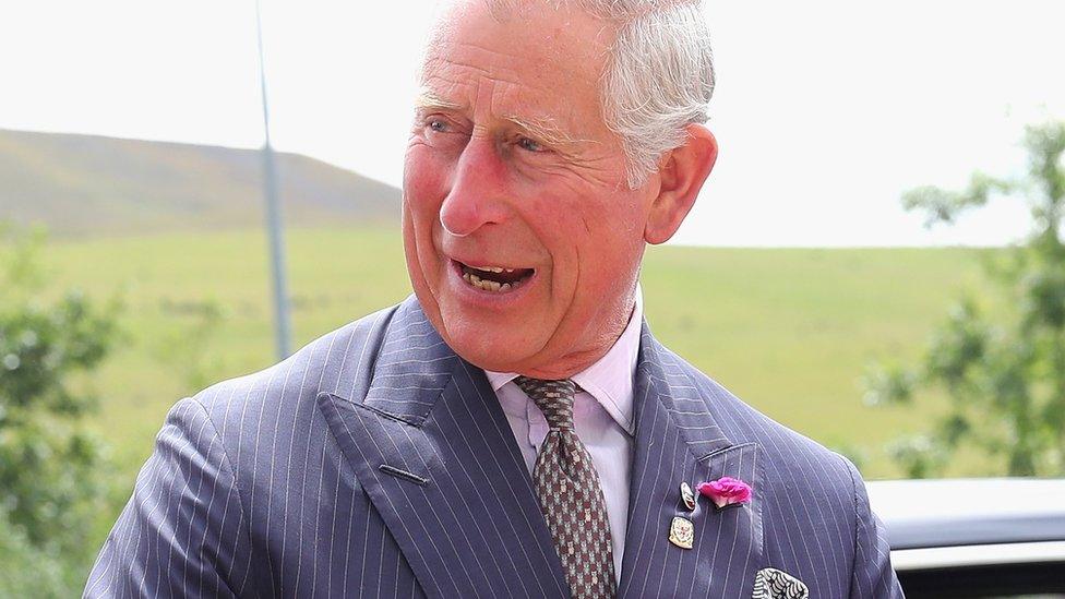 Prince Charles wearing a Football Association of Wales lapel badge