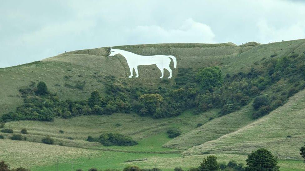 A horse monument on a hill