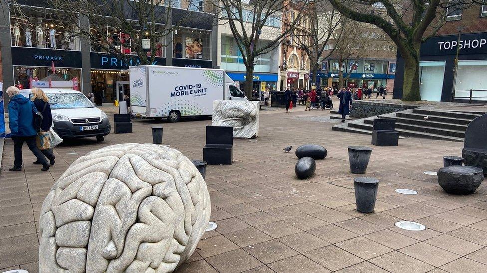 The brain and other sculptures removed from Hay Hill, Norwich