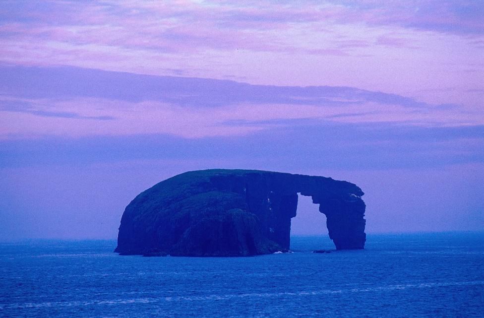 Dore Holm