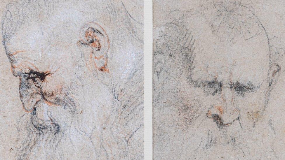 Drawings by Flemish artist Sir Peter Paul Rubens