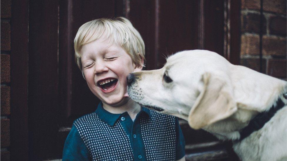 A dog licks a young boy