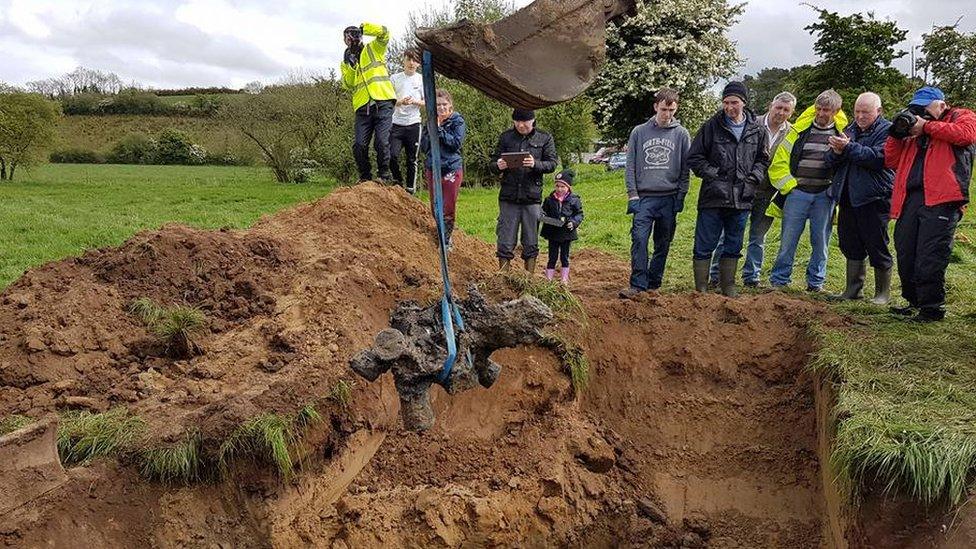 Monaghan Spitfire dig