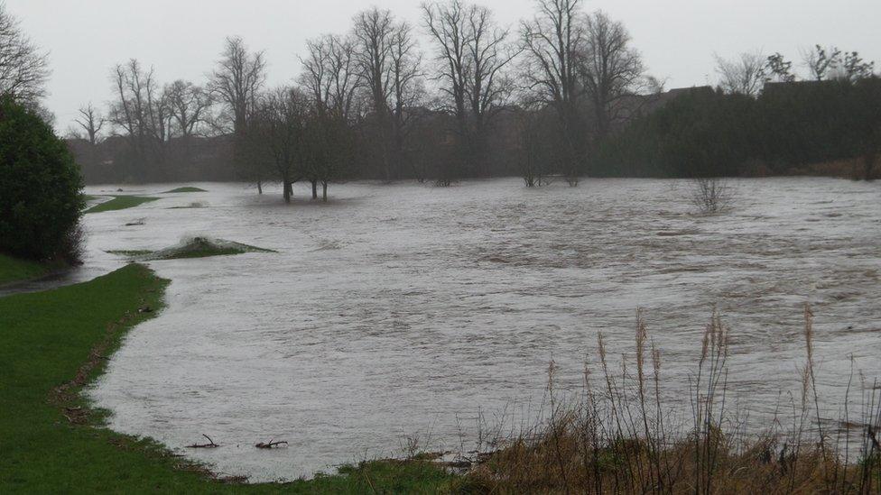 River Gryffe in Houston