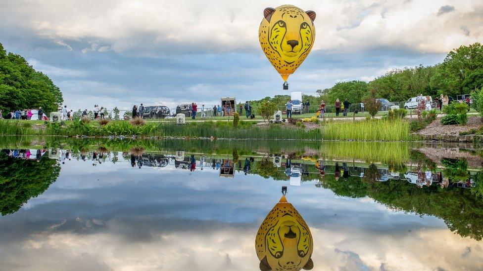 A lion balloon reflected in water