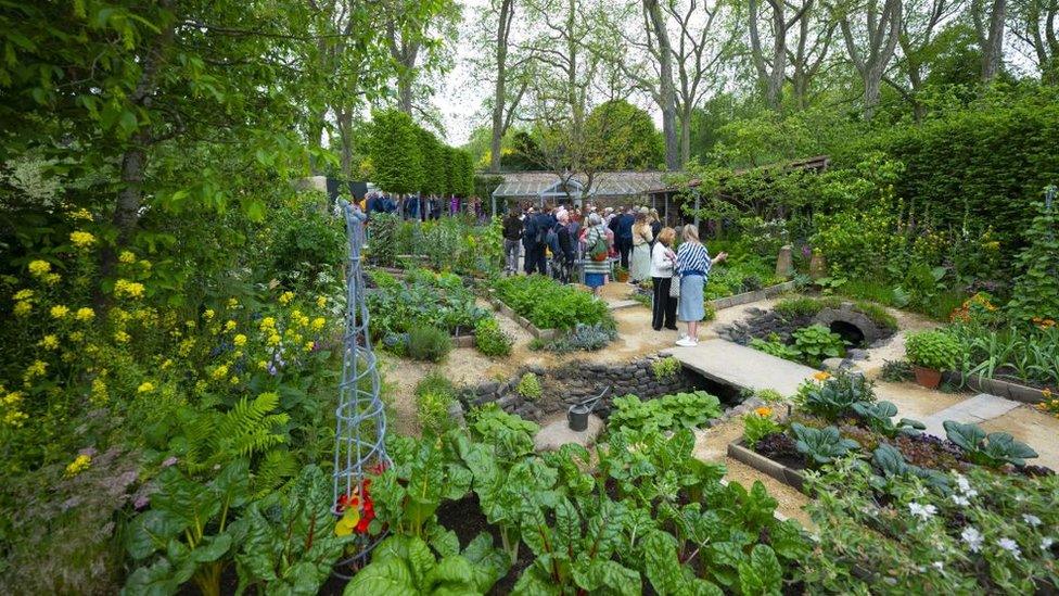 people-at-the-chelsea-flower-show.