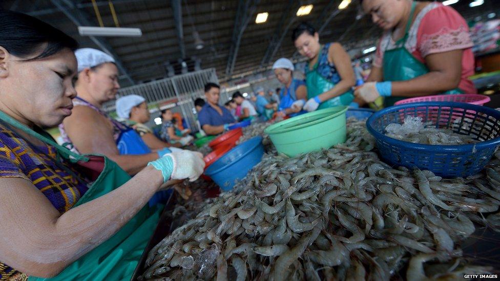 shrimp peelers