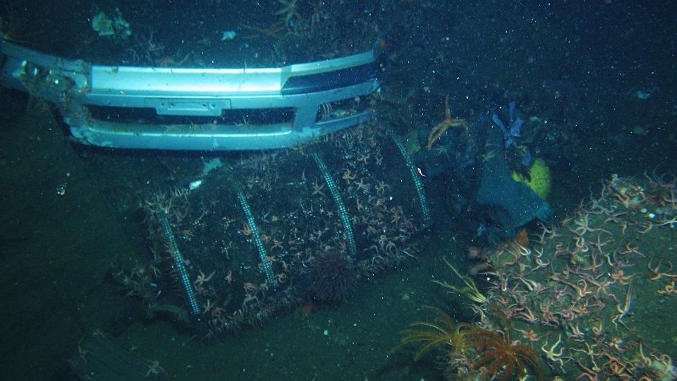 Marine debris: automobile bumper photographed at 546m on October 8, 2013