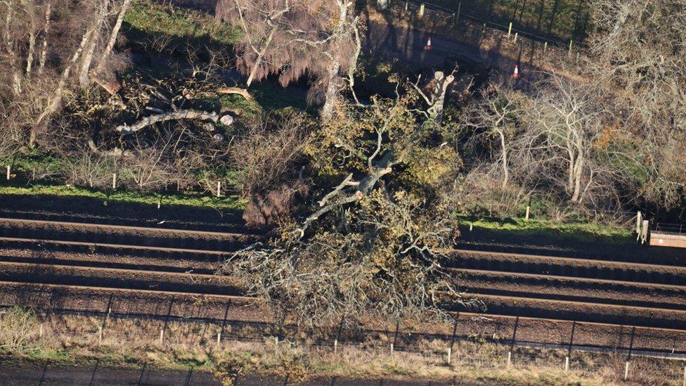 Tree blocking line