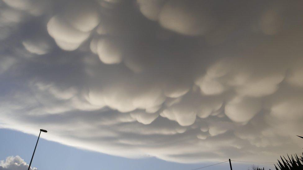 Sunlit pouches of cloud protruding from a layer of darker cloud