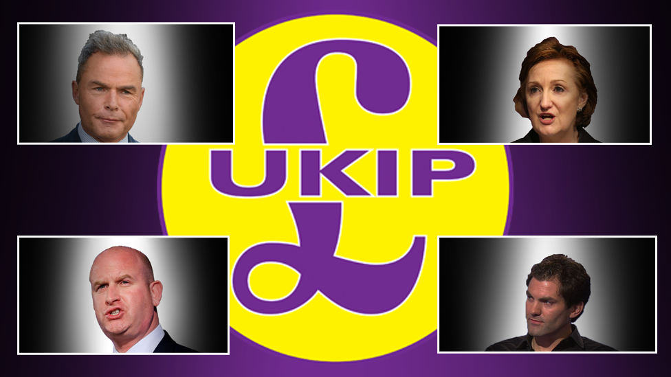 UKIP leadership candidates - November 2016