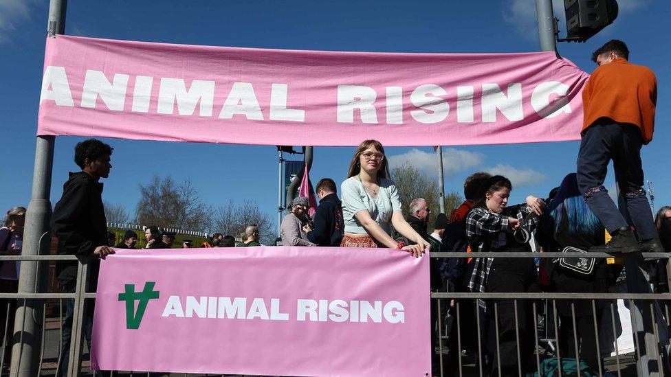 Animal rights activists protest outside Aintree Racecourse ahead of the Randox 2023 Grand National at Aintree Racecourse in Liverpoo