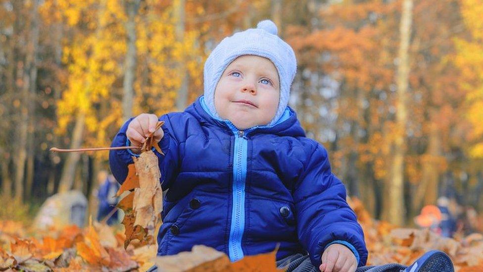 small child in warm clothes playing in fallen autumn leaves