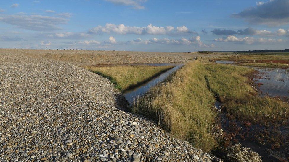 Shingle ridge in Salthouse