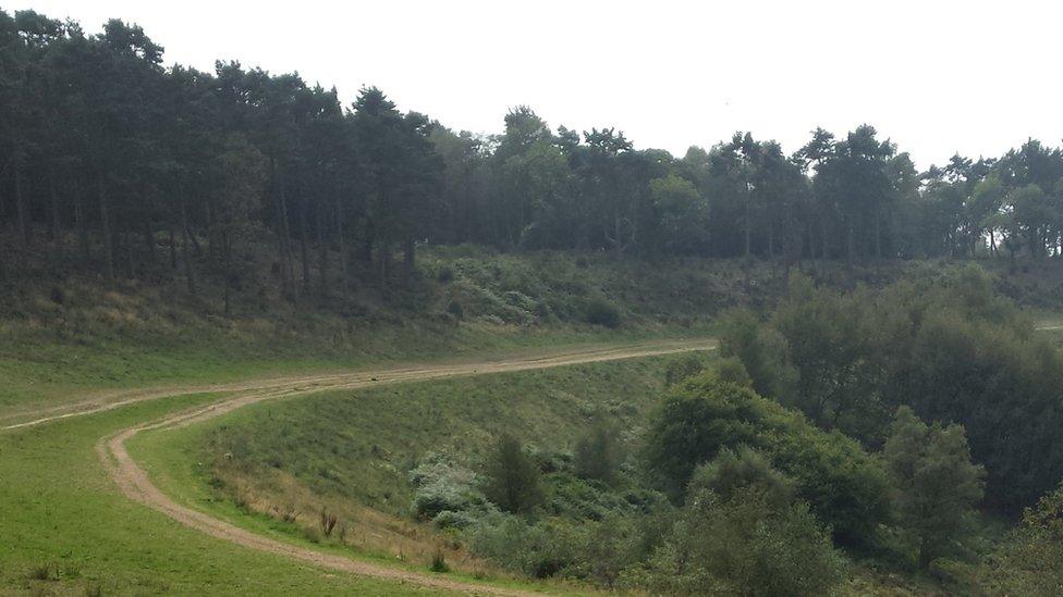 Old A3 at Devil's Punchbowl