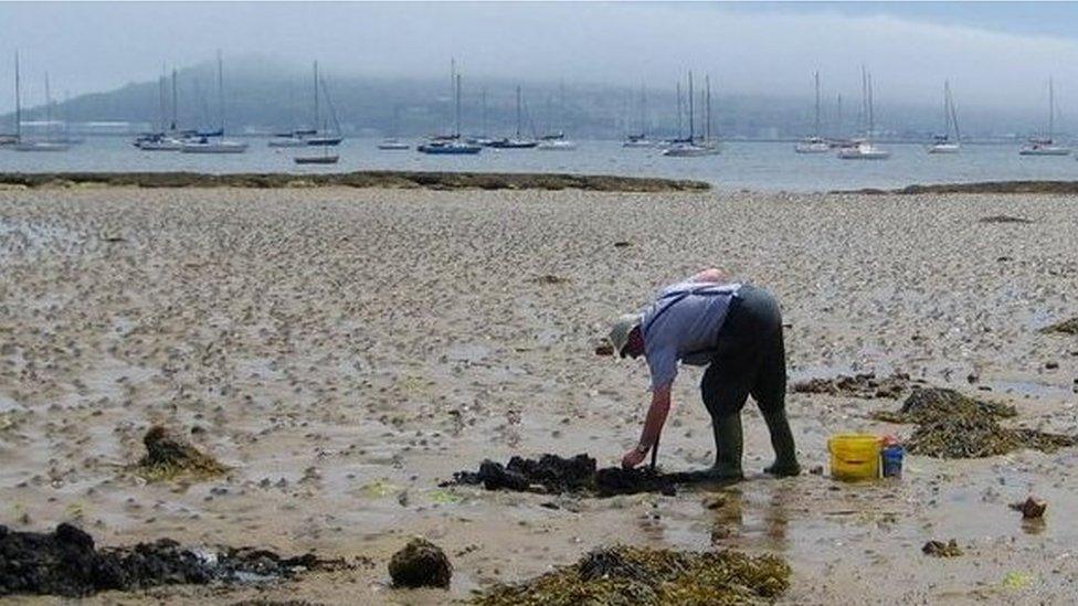 Castle Cove Beach, Weymouth