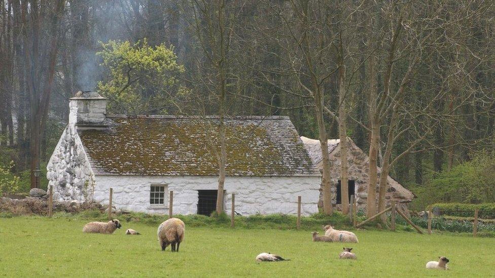 Llainfadyn cottage