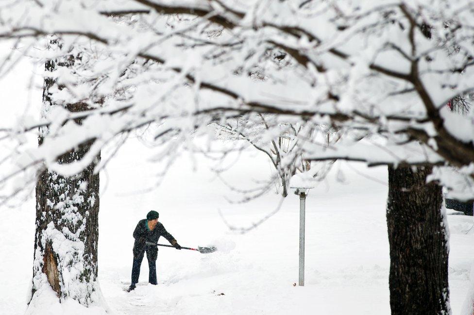 A woman shovels snow (File picture)