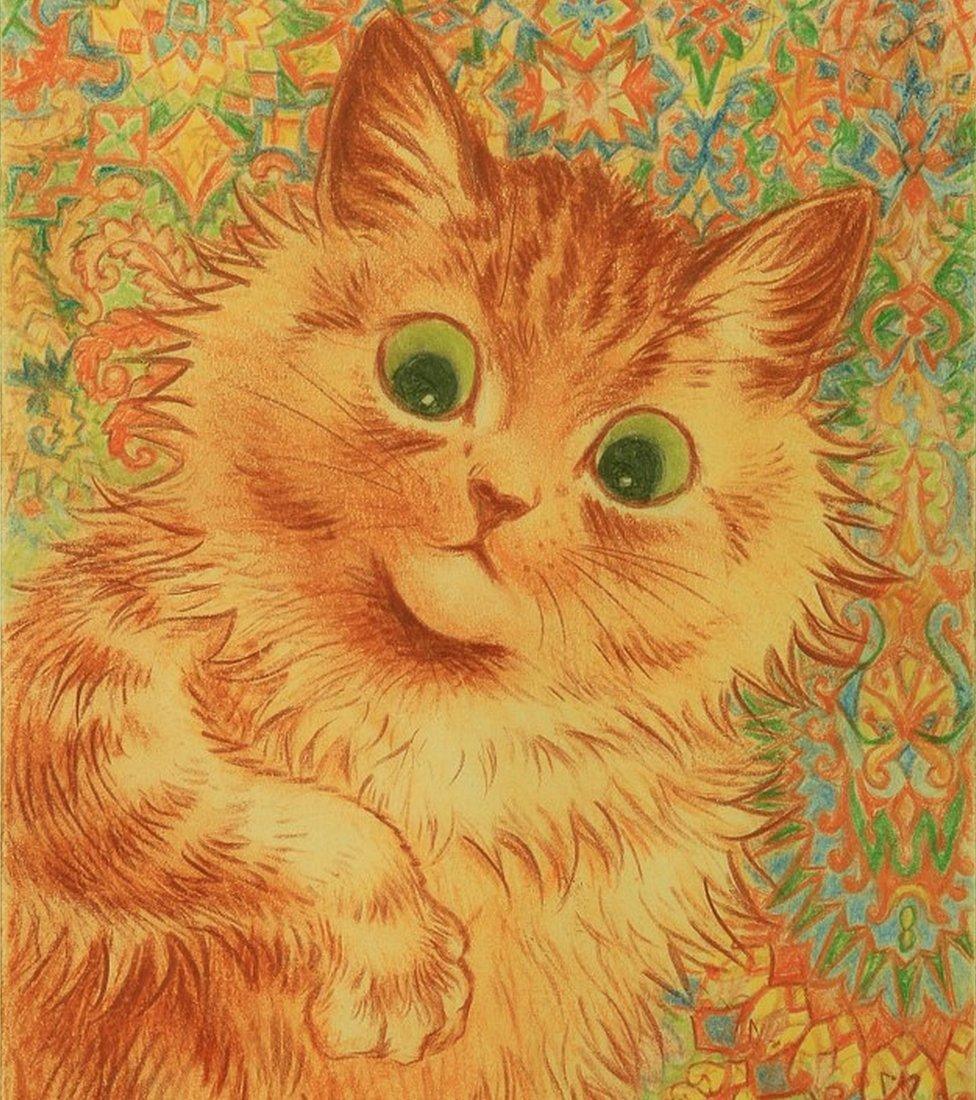 Ginger cat