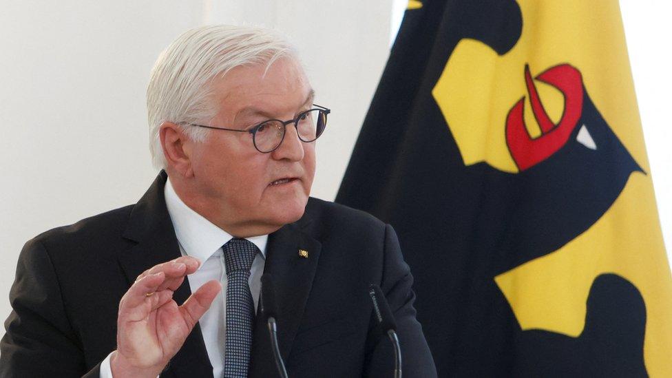 German President Frank-Walter Steinmeier