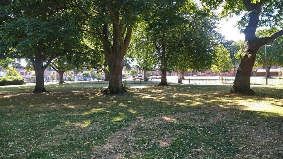 Parkland with widely-spreading trees