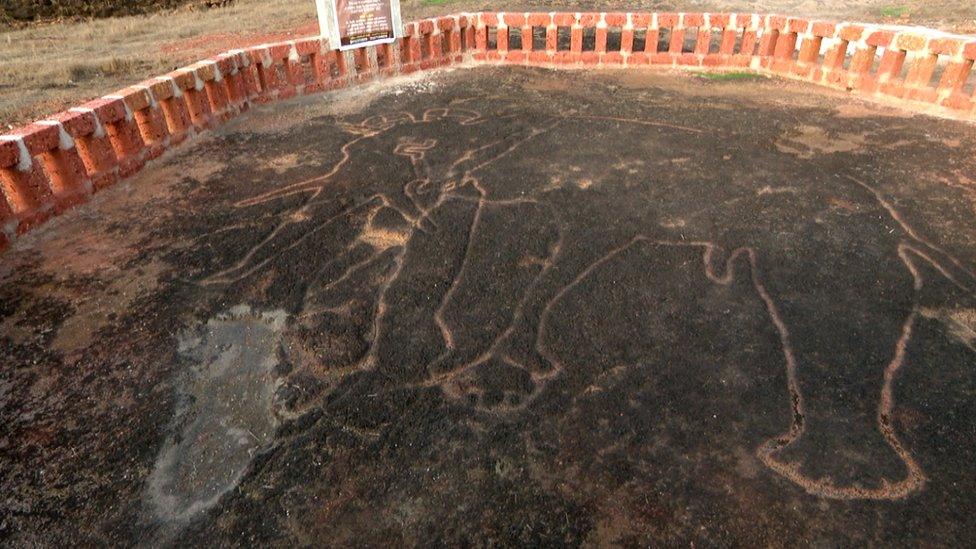 Petroglyph elephant