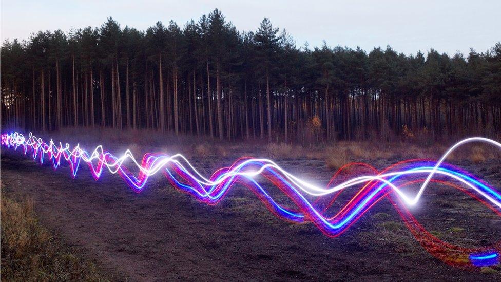 broadband trail through trees graphic