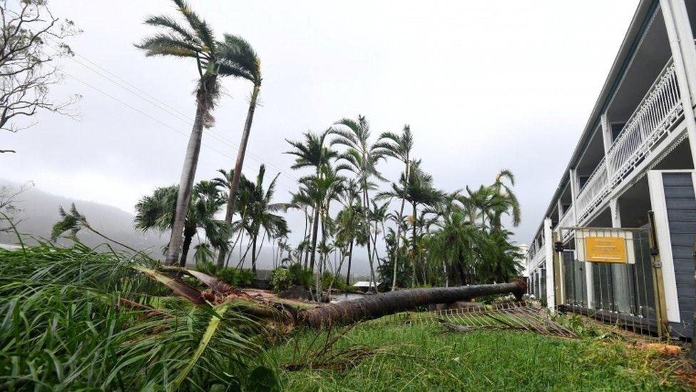 Storm damage on Airlie Beach