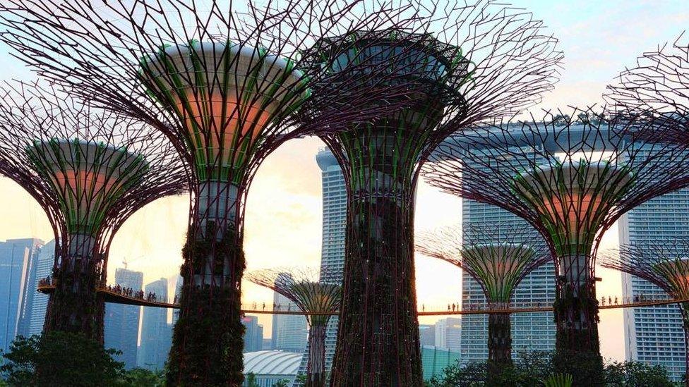 Super trees in Singapore