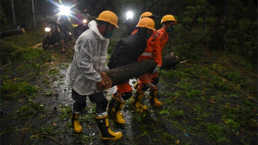 workers drag away fallen trees