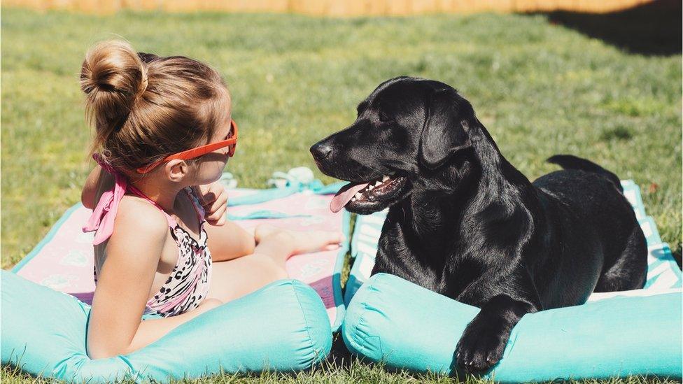 black labrador and girl on cushion in sun outside in garden