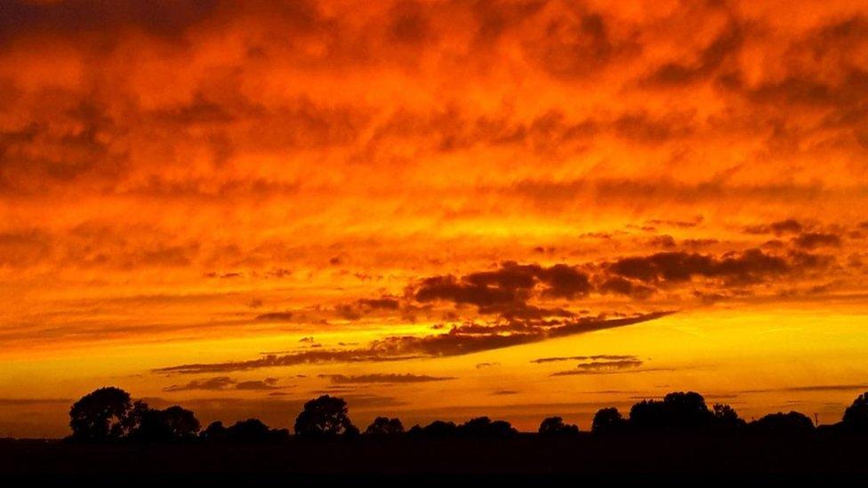 Sunset in Ramsey Saint Marys, Cambridgeshire.