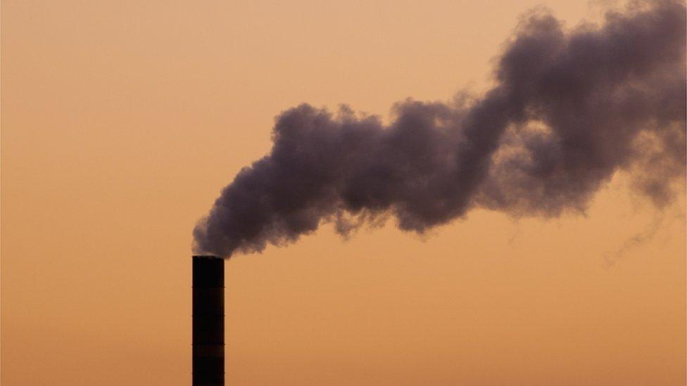 Smoke stack in Florida